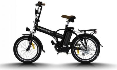 Bicicleta Eléctrica Plegable Soonerbike Lifepo4