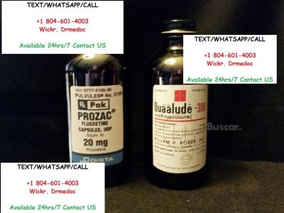Buy Quaaludes 300mg Immediately Text+1(804)-601-4003